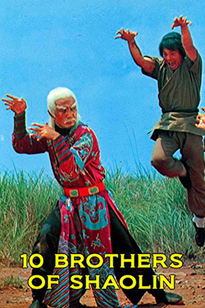 Póster de 10 Brothers of Shaolin