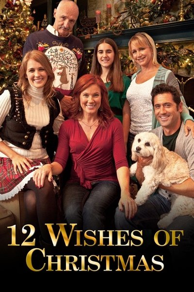 Póster de 12 Wishes of Christmas