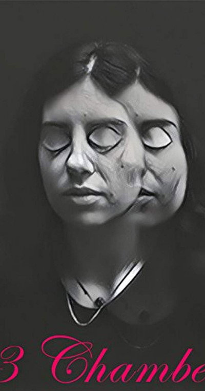 Póster de 13 Chambers