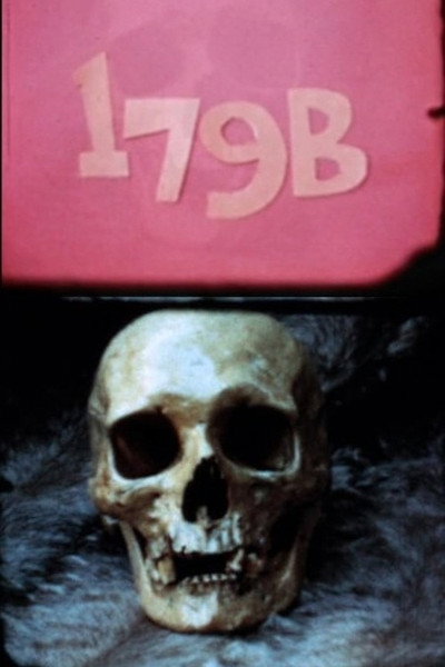 Póster de 179B or 4x8=16