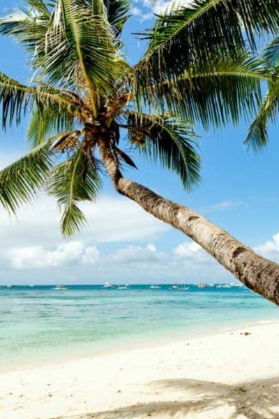 Póster de 21 Sexiest Beaches