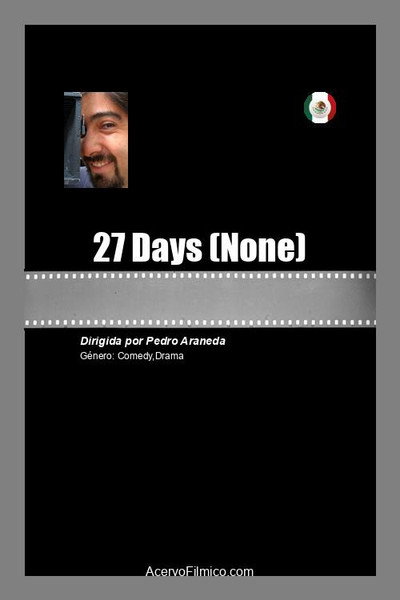 Póster de 27 Days