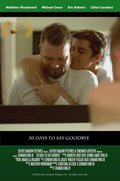 Póster de 30 Days to Say Goodbye