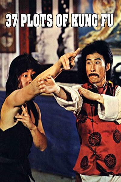 Póster de 37 Plots of Kung Fu