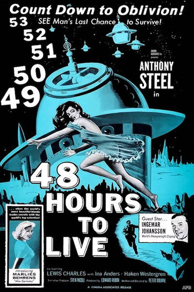Póster de 48 Hours to Live