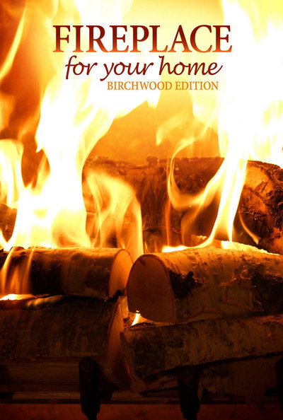 Póster de 4K Fireplace