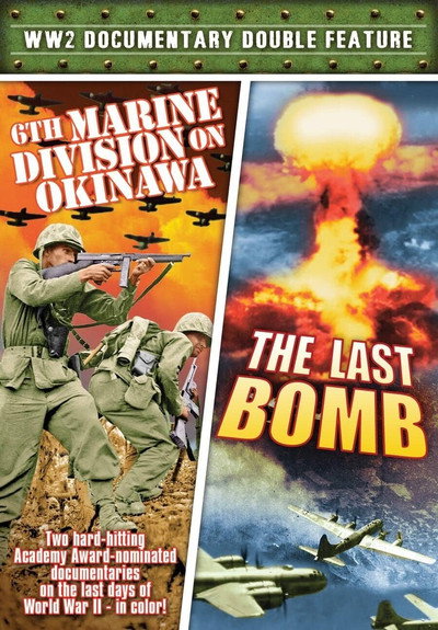 Póster de 6th Marine Division on Okinawa