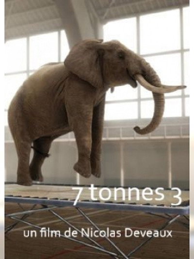 Póster de 7 Tonnes 2
