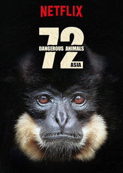 Póster de 72 animales peligrosos Asia