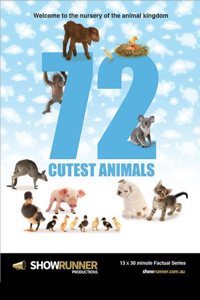 Póster de 72 Cutest Animals