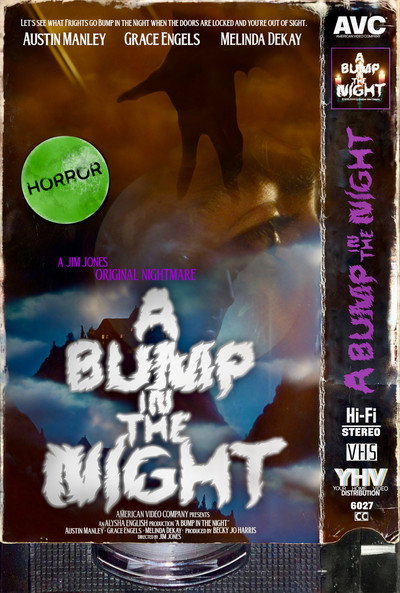 Póster de A Bump in the Night