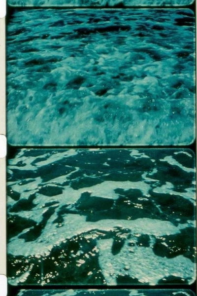 Póster de A Child's Garden and the Serious Sea