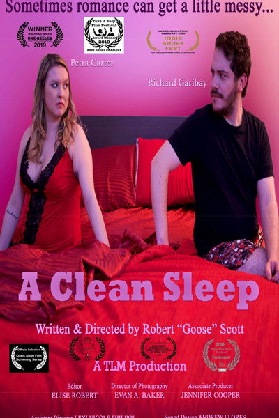 Póster de A Clean Sleep