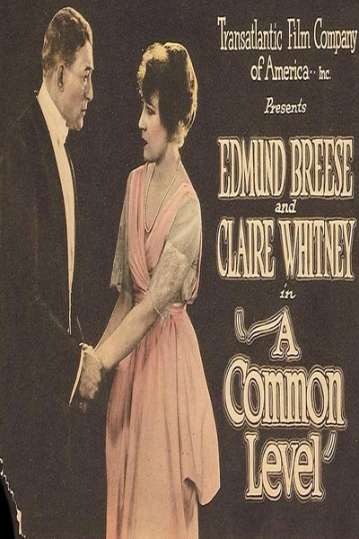 Póster de A Common Level