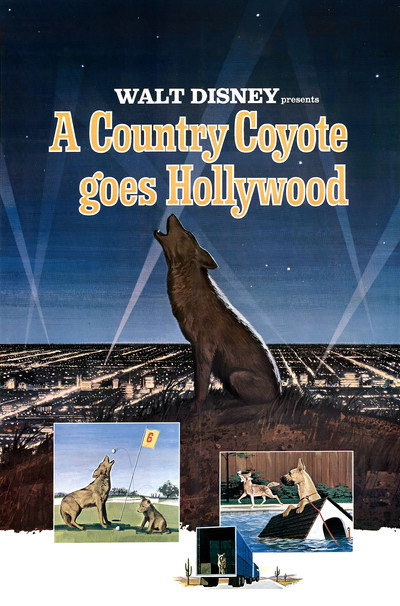 Póster de A Country Coyote Goes Hollywood
