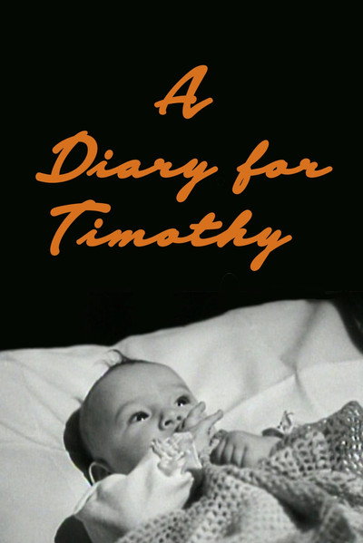 Póster de A Diary for Timothy