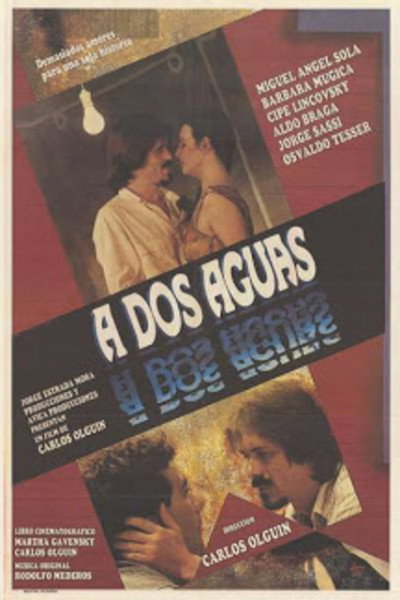 Póster de A dos aguas