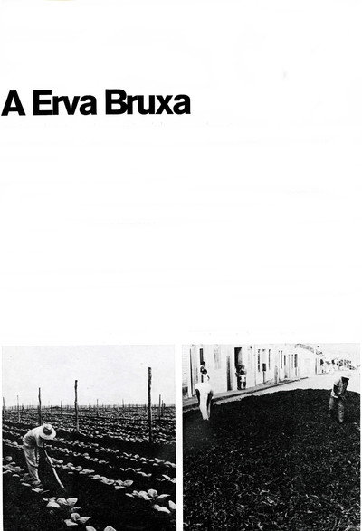 Póster de A Erva Bruxa