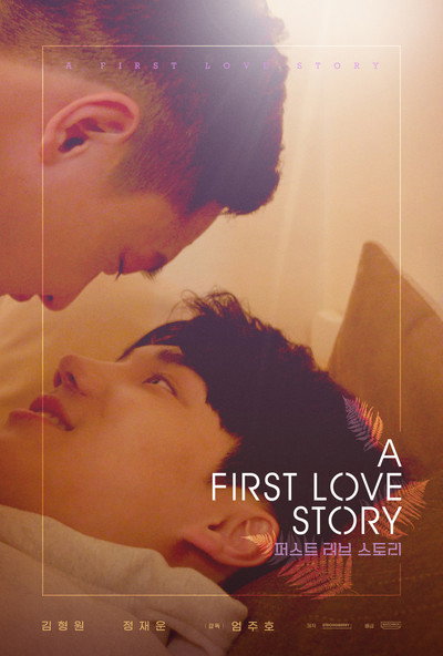 Póster de A First Love Story