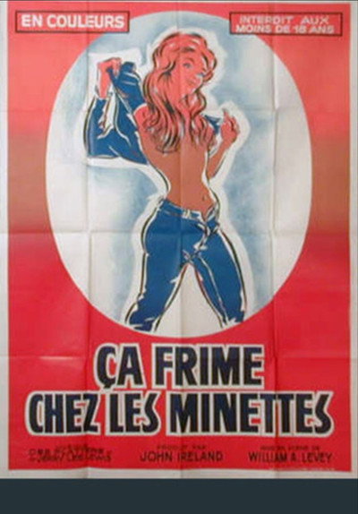 Póster de Ça frime chez les minettes