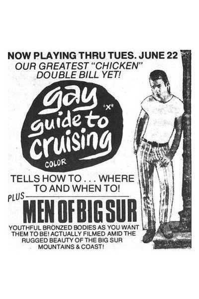 Póster de A Gay Guide to Cruising