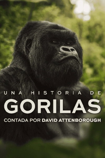 Póster de A Gorilla Story: Told by David Attenborough