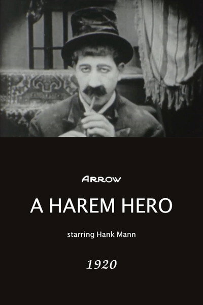 Póster de A Harem Hero