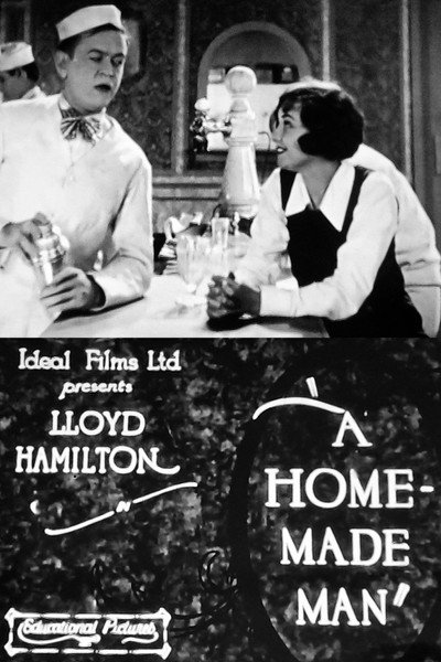 Póster de A Home-Made Man