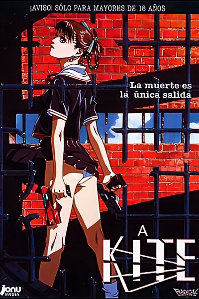 Póster de A Kite