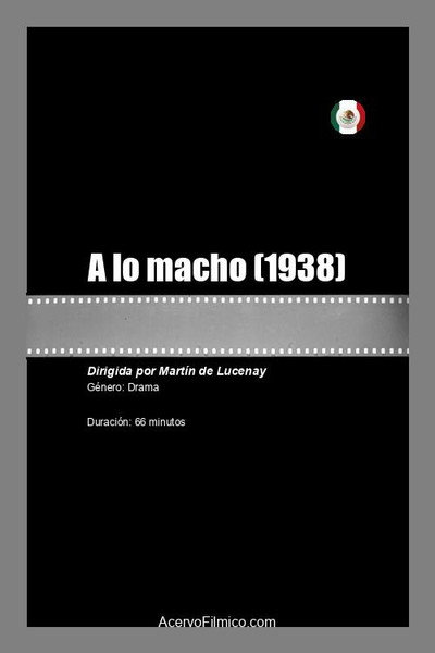 Póster de A lo macho
