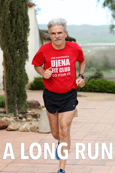Póster de A Long Run