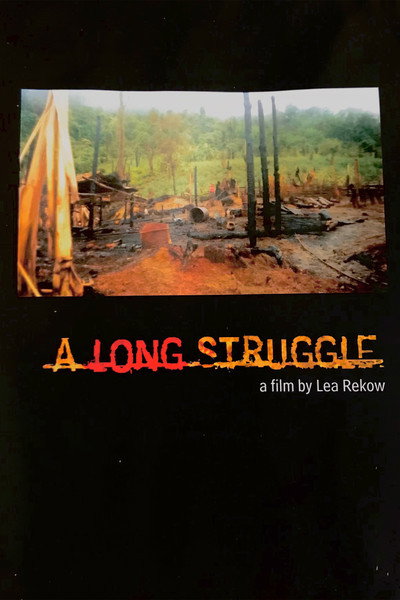 Póster de A Long Struggle