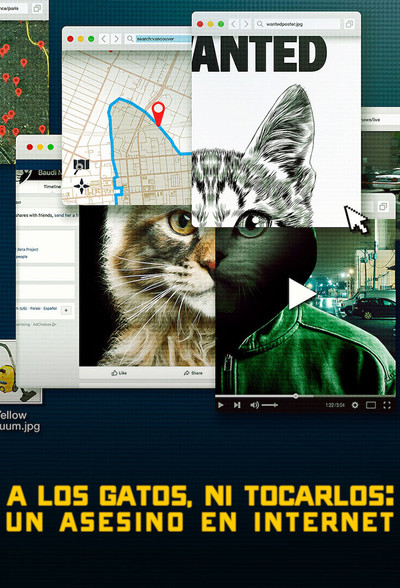 Póster de A los gatos, ni tocarlos: Un asesino en Internet