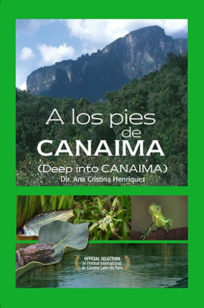 Póster de A los pies de Canaima