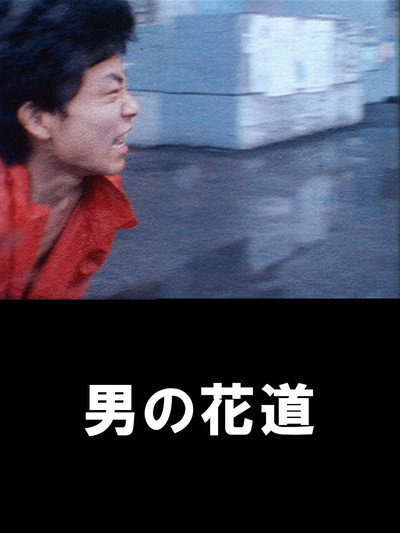 Póster de A Man's Flower Road