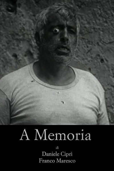 Póster de A memoria