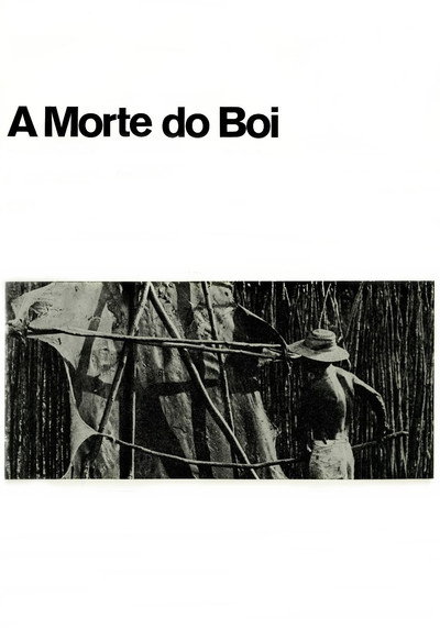 Póster de A Morte do Boi