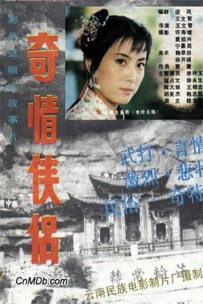Póster de A Mysterious Heroine