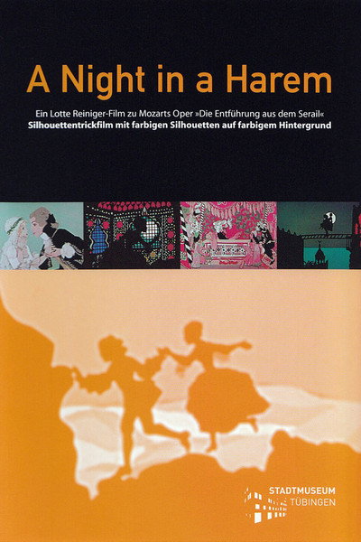 Póster de A Night in a Harem