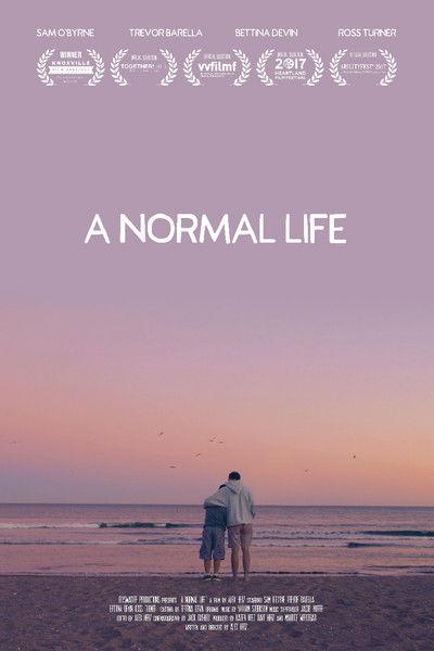 Póster de A Normal Life