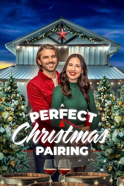 Póster de A Perfect Christmas Pairing