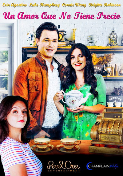Póster de A Priceless Love
