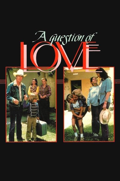 Póster de A Question of Love