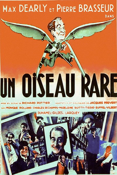 Póster de A Rare Bird