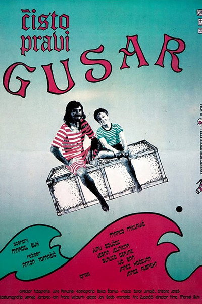 Póster de A Real Pirate