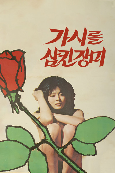 Póster de A Rose with Thorns