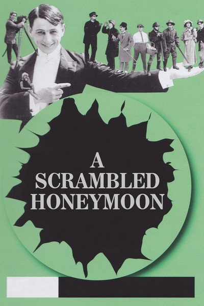 Póster de A Scrambled Honeymoon