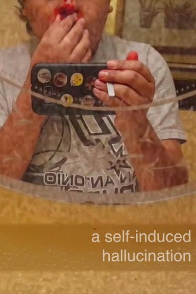 Póster de A Self-Induced Hallucination