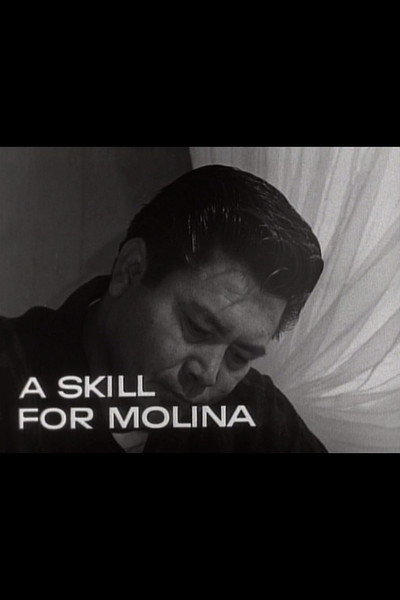 Póster de A Skill for Molina