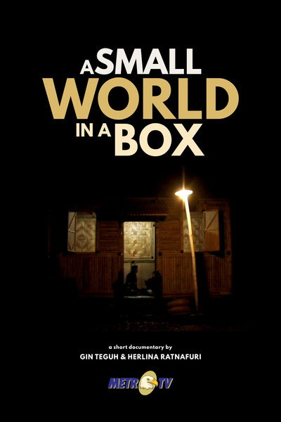 Póster de A Small World in a Box